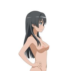1girl artist_request black_hair breasts from_side green_eyes hand_on_own_hip highres large_breasts legs long_hair navel nipples nude saten_ruiko sideboob smile solo thighs toaru_kagaku_no_railgun toaru_majutsu_no_index