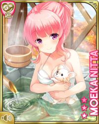 1girl bathhouse bathing breasts cleavage closed_mouth dog female_focus girlfriend_(kari) hair_bun holding large_breasts looking_at_viewer nitta_moeka official_art outdoors pink_hair purple_eyes qp:flapper short_hair single_hair_bun sitting solo swimsuit tagme towel tree water