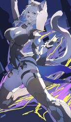 Rule 34 | 1girl, animal ear fluff, animal ears, animal hood, belt, black gloves, blue eyes, boots, breasts, cat ears, cat girl, cat hood, cat tail, choker, cipher (honkai: star rail), cleavage, coin, fang, fingerless gloves, gloves, gold boots, grey hair, highres, honkai: star rail, honkai (series), hood, hooded leotard, large breasts, looking at viewer, mole, mole on breast, netural, open mouth, skindentation, smile, solo, tail, thigh belt, thigh strap