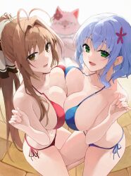 2girls amagi_brilliant_park antenna_hair bikini blue_bikini blue_hair breast_press breasts brown_eyes brown_hair cat green_eyes hair_intakes highres large_breasts multiple_girls muse_(amaburi) ponytail red_bikini sento_isuzu short_hair side-tie_bikini_bottom slope_(check238) swimsuit symmetrical_docking tiramii