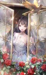1girl bird black_hair breasts carpet choker cleavage collarbone commentary_request dress flower game_cg grey_eyes highres indoors lilith_(shining_nikki) lips lipstick long_hair looking_at_animal makeup nightingale_and_mist_(shining_nikki) nikki_(series) official_art open_window outdoors parted_lips reflection rose shining_nikki sunlight third-party_source white_dress window