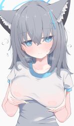 Rule 34 | 1girl, absurdres, animal ear fluff, animal ears, blue archive, blue eyes, blue halo, blush, breasts, closed mouth, collarbone, commentary, grabbing own breast, grey hair, hair between eyes, halo, hands up, highres, large breasts, long hair, looking at viewer, nui (nuinui0300), see-through clothes, see-through shirt, shiroko (blue archive), shirt, simple background, solo, upper body, variant set, white background, white shirt, wolf ears