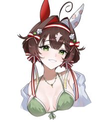1girl ahoge animal_ears bare_shoulders bikini brown_hair double_bun green_bikini hair_bun hair_intakes hairband highres hokushinron horse_ears horse_girl jewelry mismatched_ear_covers multicolored_hair necklace original personification ravel_(racehorse) ribbon simple_background smile solo streaked_hair swimsuit third-party_source two-tone_bow two-tone_hairband two-tone_ribbon umamusume upper_body white_background
