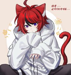 Rule 34 | 1boy, ahoge, animal ears, black pants, blue eyes, borrowed clothes, brown background, cat ears, cat tail, chinese commentary, highres, jacket, kemonomimi mode, male focus, multicolored hair, nomei, pants, red hair, short hair, simple background, sleeves past wrists, solo, streaked hair, sumino takumi, tail, the hundred line -last defense academy-, two-tone background, white background, white jacket