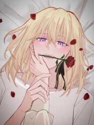 amakuma bang_dream! bang_dream!_it&#039;s_mygo!!!!! black_ribbon blonde_hair blush commentary fangs female_pov flower hair_between_eyes long_sleeves looking_at_viewer lying medium_hair misumi_uika mouth_hold on_back open_mouth petals pov purple_eyes red_flower red_rose ribbon rose rose_petals shirt teeth togawa_sakiko white_shirt yuri