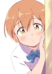 1girl blue_bow blue_bowtie blush bow bowtie closed_mouth collared_shirt dot_mouth hair_between_eyes hand_up hoshizora_rin looking_at_viewer love_live! love_live!_school_idol_project orange_hair otonokizaka_school_uniform peeking_out school_uniform sen_(sen0910) shirt short_hair short_sleeves simple_background solo striped_bow striped_bowtie striped_clothes summer_uniform upper_body white_background white_shirt yellow_eyes