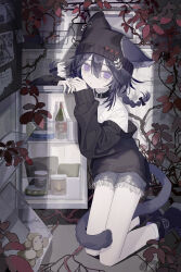 1cyaya1 1girl absurdres animal_ears beanie black_boots black_cardigan black_collar black_hair black_hat boots bottle braid can canned_fish canned_food cardigan cat_ears cat_tail closed_mouth collar collared_shirt commentary denim denim_shorts ears_through_headwear food fruit full_body hair_between_eyes hat highres indoors kneeling leaf leaning_on_object long_sleeves looking_at_viewer off_shoulder original plant purple_eyes refrigerator shirt shorts solo tail twin_braids vines white_shirt
