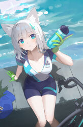 1girl absurdres animal_ear_fluff animal_ears arm_up bicycle bike_jersey bike_shorts blue_archive blue_eyes blue_mask blue_shorts bottle breasts cleavage collarbone cycling_uniform day extra_ears gloves green_gloves grey_hair hair_ornament halo highres holding holding_bottle looking_at_viewer mask medium_breasts milim_nova mismatched_pupils ocean official_alternate_costume open_mouth outdoors road_bicycle shiroko_(blue_archive) shiroko_(cycling)_(blue_archive) short_hair short_sleeves shorts sitting solo sportswear sweat thigh_gap water water_bottle x_hair_ornament