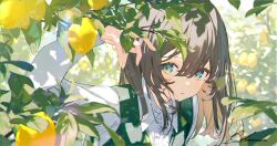 1girl arm_up ashima_(roro046) blue_eyes brown_hair collared_shirt food fruit hair_between_eyes leaf lemon long_hair long_sleeves looking_at_viewer medium_hair original outdoors parted_lips shirt signature solo sunlight tree upper_body white_shirt
