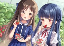 2girls basket belt blue_bow blue_hair blunt_bangs blush bow bowtie braid brown_eyes brown_hair buttons child collar collared_dress collared_shirt commentary dress eating food frilled_shirt frilled_shirt_collar frilled_sleeves frills fruit greenhouse hair_bow half_up_braid harvest hibiki_tohru highres holding holding_basket holding_food holding_fruit idolmaster idolmaster_cinderella_girls idolmaster_cinderella_girls_u149 indoors jitome long_hair multiple_girls pleated_dress puffy_short_sleeves puffy_sleeves red_bow red_bowtie red_eyes sajo_yukimi shirt short_sleeves strawberry strawberry_plant tachibana_arisu very_long_hair white_collar white_shirt