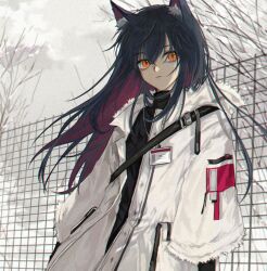 1girl against_fence animal_ear_fluff animal_ears arknights arms_at_sides bag bare_tree black_hair black_shirt closed_mouth cloud cloudy_sky coat colored_inner_hair day expressionless fence fur-trimmed_coat fur-trimmed_jacket fur_trim grey_sky hair_between_eyes id_card jacket long_hair long_sleeves looking_to_the_side migan multicolored_hair orange_eyes outdoors red_hair shirt shoulder_bag sky solo standing texas_(arknights) tree turtleneck upper_body white_coat white_jacket wind winter wolf_ears wolf_girl