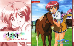 1girl animal barn blue_eyes character_name close-up day dot_nose english_text feet_out_of_frame female_focus grass hair_between_eyes hibikino_high_school_uniform highres hinomoto_hikari horse legs looking_at_viewer mole mole_under_eye official_art open_mouth outdoors red_hair school_uniform serafuku shirt short_hair short_sleeves skirt sky tokimeki_memorial tokimeki_memorial_2 watermark web_address