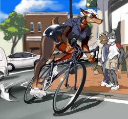 1girl 2boys bicycle black_shorts blue_eyes body_fur brown_fur cat_boy clenched_teeth commentary_request dobermann dog_girl full_body furry furry_female furry_male helmet kikurage_(crayon_arts) multiple_boys original outdoors police police_uniform policewoman riding riding_bicycle shirt short_sleeves shorts tail teeth