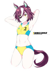 1girl animal_ears armpits arms_up brown_hair buruma character_name commentary_request cowboy_shot ear_ornament eyepatch hair_between_eyes horse_ears horse_girl horse_tail midriff multicolored_hair navel parted_lips shigino_sohuzi short_hair solo sports_bra streaked_hair tail tanino_gimlet_(umamusume) umamusume white_hair yellow_buruma yellow_eyes yellow_sports_bra