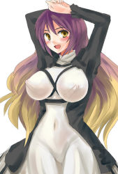 Rule 34 | 1girl, bad id, bad pixiv id, female focus, gradient hair, hijiri byakuren, hokamichi, long hair, multicolored hair, solo, taji (crowview), touhou, yellow eyes