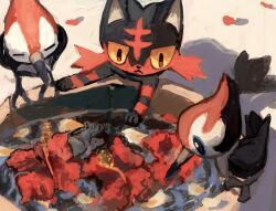 :&lt; animal_focus black_fur bucket colored_sclera creatures_(company) flower game_freak gen_7_pokemon kfkgot7ig2r5265 litten nintendo no_humans pikipek pokemon pokemon_(creature) pokemon_focus red_flower red_fur water yellow_sclera