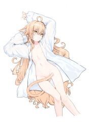 Rule 34 | 1girl, ahoge, animal ear fluff, animal ears, blonde hair, cat ears, cat tail, long hair, lying, mocha kura, naked shirt, on back, original, shirt, solo, tail, tail censor, very long hair, yellow eyes