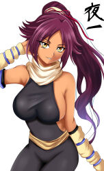 1girl bare_shoulders bleach breasts dark-skinned_female dark_skin highres long_hair looking_at_viewer ponytail purple_hair scarf shiguko shihouin_yoruichi simple_background solo white_background yellow_eyes