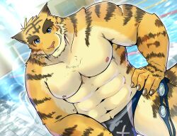 1boy abs animal_ears bara bare_pectorals biceps black_male_swimwear bulge chalse31 claws collarbone furry furry_male goggles grin hand_on_own_hip highres holding holding_goggles looking_at_viewer male_focus male_swimwear morenatsu muscular muscular_male navel nipples pectorals pool smile tail tiger_boy tiger_ears tiger_stripes tiger_tail topless_male torahiko_oshima yellow_fur