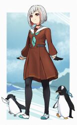 1girl aqua_neckerchief aqua_shoes arms_at_sides bird black_choker black_gloves black_pantyhose black_ribbon blue_ribbon blue_sky bob_cut border borrowed_accessory breasts brown_dress choker closed_mouth colored_inner_hair commentary diagonal_bangs dress full_body gloves grey_hair hair_ornament half_gloves hasu_no_sora_school_uniform highres imitating inverted_bob kachimachi_kosuzu link!_like!_love_live! loafers long_sleeves looking_ahead love_live! medium_dress mendo_(mend0o0_) multicolored_hair multicolored_shoes murano_sayaka neckerchief o-ring o-ring_choker outside_border pantyhose penguin pleated_dress red_eyes red_hair ribbon sailor_collar sailor_dress school_uniform shoes short_hair sky small_breasts smile solo star_(symbol) star_hair_ornament streaked_hair two-tone_shoes uwabaki virtual_youtuber walking white_border white_sailor_collar white_shoes winter_uniform yugiri_tsuzuri