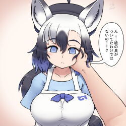 1girl animal_ears apron beret black_hair blue_eyes blue_shirt blush bow breasts commentary empty_eyes grey_hair hat highres horse_ears horse_girl horse_tail japari_symbol kemono_friends kemono_friends_3 large_breasts looking_at_viewer mo23 multicolored_hair ponytail pov pov_hands shirt short_sleeves solo tail tarpan_(kemono_friends) translated white_hair