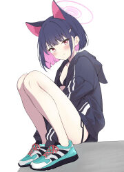1girl absurdres alternate_costume animal_ears between_legs bikini black_bikini black_jacket blue_archive blush breasts cat_ears colored_inner_hair commentary_request drawstring full_body halo hand_between_legs highres hood hood_down hooded_jacket jacket kazusa_(blue_archive) knees_up kurumi_kororin looking_at_viewer medium_hair multicolored_hair open_clothes open_jacket pink_hair pink_halo purple_hair red_eyes shoes side-tie_bikini_bottom sidelocks sitting small_breasts smile sneakers solo swimsuit white_background