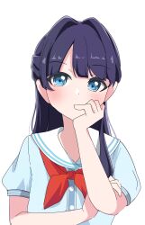 Rule 34 | 1girl, absurdres, blue dress, blue eyes, commentary request, dress, hair intakes, half updo, hand on own chin, hasu no sora school uniform, highres, kametora (kametora02), link! like! love live!, long hair, looking at viewer, love live!, murano sayaka, neckerchief, puffy short sleeves, puffy sleeves, purple hair, red neckerchief, sailor collar, sailor dress, school uniform, short sleeves, simple background, solo, summer uniform, thinking, upper body, virtual youtuber, white background, white sailor collar