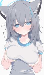 Rule 34 | 1girl, absurdres, animal ear fluff, animal ears, blue archive, blue eyes, blue halo, blush, breasts, closed mouth, collarbone, commentary, grabbing own breast, grey hair, hair between eyes, halo, hands up, highres, large breasts, long hair, looking at viewer, nui (nuinui0300), shiroko (blue archive), shirt, simple background, solo, translation request, upper body, variant set, white background, white shirt, wolf ears