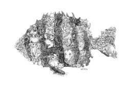 #b7282e absurdres animal_focus artist_name bastet_(mythology) cat catfish egyptian_mythology fish greyscale highres lion monochrome no_humans odd_one_out original peterbald_cat signature simple_background sphynx_cat traditional_media white_background