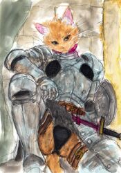 1girl animal_ears arm_on_knee arm_shield armor belt black_eyes black_panties breastplate brown_belt cat_ears cat_girl chainmail commentary couter expressionless furry furry_female garamna gauntlets gorget greaves highres orange_fur panties pauldrons plate_armor poleyn scabbard sheath shoulder_armor spread_legs stone_wall toshi0630vo tower_dungeon underwear vambraces