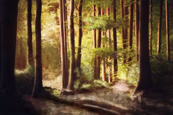 Rule 34 | chinese commentary, commentary request, day, forest, highres, mixed-language commentary, nature, no humans, original, outdoors, path, road, scenery, sunlight, tree, zaq (pgvc4472)