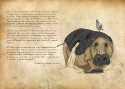 creature english_text gen_4_pokemon gen_5_pokemon hippopotamus hippowdon hippowdon_(male) looking_at_viewer michael_casteel nintendo no_humans pokemon pokemon_(creature) realistic sand text_focus tranquill