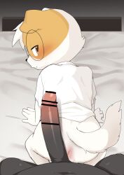 2boys animal_ears bar_censor censored commentary_request furry furry_male male_focus manmosu_marimo multiple_boys original paid_reward_available penis shota tail yaoi