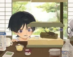 Rule 34 | 1boy, aged down, alternate universe, beetle, black hair, blunt ends, bottle, bug, bug cage, cat face sticker, collarbone, contemporary, controller, cup, electric fan, food, genshin impact, haagen-dazs, hand on table, highres, indoors, insect, light blush, log, lower teeth only, male focus, milk carton, open mouth, pudding, purple eyes, remote control, sand, scaramouche (cat) (genshin impact), scaramouche (genshin impact), sliding doors, solo, soy sauce bottle, spoon, teeth, tree, twitter username, veranda, water bottle, wide-eyed, wind chime, wispy bangs, yuii 03