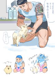 Rule 34 | 1boy, animal, arm tattoo, black hair, black shorts, blue shirt, chibi, commentary request, dog, furrowed brow, highres, holding, holding towel, male focus, matsuda ryota, mirror, multiple views, muscular, muscular male, open mouth, sanpaku, shampoo bottle, shirt, short hair, short sleeves, shorts, sitting, soap bubbles, speech bubble, t-shirt, tattoo, toshi densetsu kaitai center, towel, translation request, washing animal, water, wet, wet dog shake, white background, yochiyochi