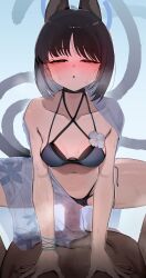 1boy 1girl absurdres animal_ears bikini bikini_bottom_aside black_eyes black_hair blue_archive blue_bikini blue_halo blush breasts cat_ears cat_girl cat_tail clothed_female_nude_male clothed_sex clothing_aside cowgirl_position dark-skinned_male dark_skin erection girl_on_top half-closed_eyes halo hetero highres kikyou_(blue_archive) kikyou_(swimsuit)_(blue_archive) looking_at_viewer multiple_tails navel nude okurahokori parted_lips penis pov sex short_hair small_breasts solo_focus straddling sweat swimsuit tail two_tails vaginal