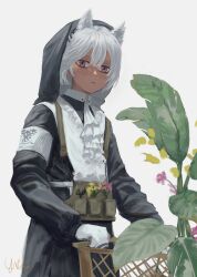 Rule 34 | 1girl, absurdres, animal ear fluff, animal ears, apron, arknights, armband, ascot, black dress, black hood, camel ears, collared dress, commentary, dark-skinned female, dark skin, dress, english commentary, expressionless, gloves, hair between eyes, highres, leaf, load bearing vest, long sleeves, looking at viewer, official alternate costume, pink eyes, plant, short hair, sidelocks, signature, solo, tuye (arknights), tuye (cultivate vegetation) (arknights), ujin holo, upper body, white apron, white armband, white ascot, white background, white gloves, white hair