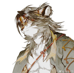 1boy animal_ears arknights chinese_commentary closed_mouth commentary_request furry furry_male headband highres huai_tianpei_(arknights) looking_at_viewer male_focus muscular muscular_male open_clothes open_shirt pectorals tiger_boy tiger_ears tiger_stripes upper_body watermark weibo_watermark white_background yellow_headband yi_tan_a_mi_ba