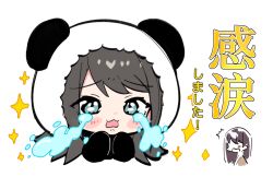 2girls :3 animal_hood bang_dream! bang_dream!_it&#039;s_mygo!!!!! black_hair chibi chinese_commentary commentary_request crying crying_with_eyes_open highres hood hood_up long_hair medium_hair multiple_girls open_mouth panda_hood shiina_taki tears translation_request white_background yahata_umiri zhanzhangzlw