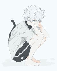 1boy animal_ears barefoot black_shorts blue_eyes cat_boy cat_ears cat_tail closed_mouth commentary_request elbows_on_knees full_body highres hunter_x_hunter invisible_chair killua_zoldyck korean_commentary looking_ahead male_focus moxxss7 shirt short_sleeves shorts single_stripe single_vertical_stripe sitting solo striped_clothes striped_shorts tail vertical-striped_clothes vertical-striped_shorts white_hair white_shirt