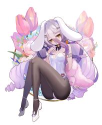 1girl absurdres animal_ears black_pantyhose breasts cleavage closed_mouth coat fur-trimmed_coat fur_trim gradient_hair grey_hair hair_between_eyes hair_ornament hairpin henya_the_genius henya_the_genius_(bunniversary) highres leotard long_bangs looking_at_viewer miei multicolored_hair pantyhose pink_coat playboy_bunny purple_hair rabbit_ears rabbit_girl shoes shoulder_tattoo small_breasts smile solo strapless strapless_leotard tattoo virtual_youtuber vshojo white_leotard white_shoes white_wrist_cuffs wrist_cuffs yellow_eyes