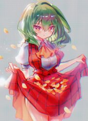 1girl ascot clothes_lift commentary green_hair grey_background hair_intakes highres kazami_yuuka lifting_own_clothes looking_at_another looking_at_viewer plaid_clothes plaid_skirt plaid_vest red_eyes red_skirt red_vest rhea_(156latte) shirt short_hair short_sleeves simple_background skirt skirt_lift solo touhou vest white_shirt yellow_ascot