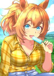 Rule 34 | 1girl, animal ears, blue eyes, blue sky, blush, breasts, brown hair, brown shirt, buttons, casual, cleavage, cloud, cloudy sky, collarbone, collared shirt, commentary request, day, denim, food, grass, hair between eyes, highres, holding, holding food, holding popsicle, horse ears, horse girl, jeans, kaicho (kaicho p), long sleeves, looking at viewer, medium breasts, medium hair, official alternate costume, open mouth, outdoors, pants, plaid clothes, plaid shirt, ponytail, popsicle, shirt, sky, smile, solo, taiki shuttle (umamusume), tree, umamusume, upper body