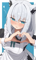 Rule 34 | 1girl, ahoge, animal ear fluff, animal ears, apron, aqua eyes, blue background, blush, braid, breasts, collared dress, dress, embarrassed, fox ears, fox girl, frilled apron, frills, hair between eyes, heart, heart hands, highres, hololive, kurushiro1102, large breasts, leaning forward, maid, maid apron, open mouth, shirakami fubuki, side braid, simple background, solo, sweat, virtual youtuber, white apron, wrist cuffs