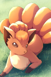 brown_eyes day gen_1_pokemon grass highres looking_at_viewer lying nintendo no_humans on_stomach orange_fur outdoors pokemon pokemon_(creature) rumine_(yoshi1234567) solo vulpix