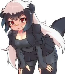 1girl badger_ears badger_girl badger_tail bandaid bandaid_on_face bandaid_on_nose bike_shorts_under_skirt black_coat black_gloves black_hair black_shirt black_shorts black_skirt black_thighhighs blush coat cowboy_shot elbow_gloves fingerless_gloves gloves hair_between_eyes hands_on_own_knees haruirokomici highres kemono_friends long_hair multicolored_hair open_clothes open_coat pleated_skirt ratel_(kemono_friends) red_eyes shirt short_sleeves shorts sidelocks skirt solo sweatdrop thighhighs two-tone_hair white_hair