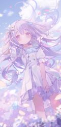 1girl absurdres blush crescent crescent_pin dress flower frilled_dress frills hair_ornament highres holding holding_flower looking_at_viewer medium_dress original petals purple_eyes purple_hair solo umehara_sei white_dress