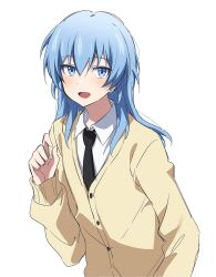 Rule 34 | 1boy, :d, androgynous, ansatsu kyoushitsu, black necktie, blue eyes, blue hair, cardigan, collared shirt, hair down, hand up, highres, light blush, long hair, long sleeves, looking at viewer, male focus, necktie, open mouth, shiota nagisa, shirt, simple background, smile, solo, upper body, white background, white shirt, yellow cardigan, yur11