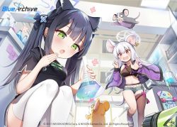 2girls animal_ears asymmetrical_legwear black_dress black_hair black_legwear blue_archive blue_legwear blush cat_ears chemistry china_dress chinese_clothes dress ear_piercing erlenmeyer_flask fishnets flask green_eyes halo indoors jacket jehyun long_hair looking_at_another mouse_(animal) mouse_ears mouse_tail multiple_girls navel nezusuke_(blue_archive) off_shoulder official_art open_mouth piercing pink_eyes purple_jacket saya_(blue_archive) saya_(casual)_(blue_archive) short_sleeves shun_(blue_archive) shun_(small)_(blue_archive) skateboard tail twintails white_hair white_legwear
