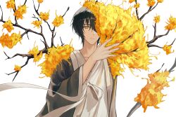 1boy absurdres black_hair branch closed_mouth coat e.g.o_(project_moon) eonyan_(chaeyang) flower folding_fan grey_coat hanbok hand_fan highres holding holding_fan korean_clothes limbus_company looking_at_viewer project_moon ribbon simple_background solo spicebush_(e.g.o) technology_liberation_alliance_(identity)_(project_moon) upper_body white_background white_hanbok white_ribbon wings yellow_eyes yellow_flower yi_sang_(project_moon)